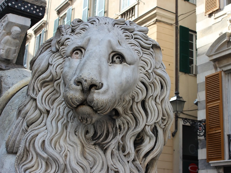 image of a lion statue
