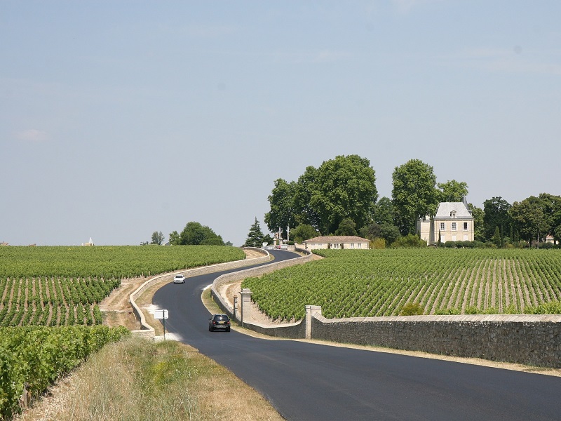 Photo of a vineyard in Bordeaux