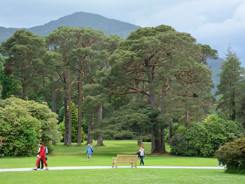 Image of people walking in the park 