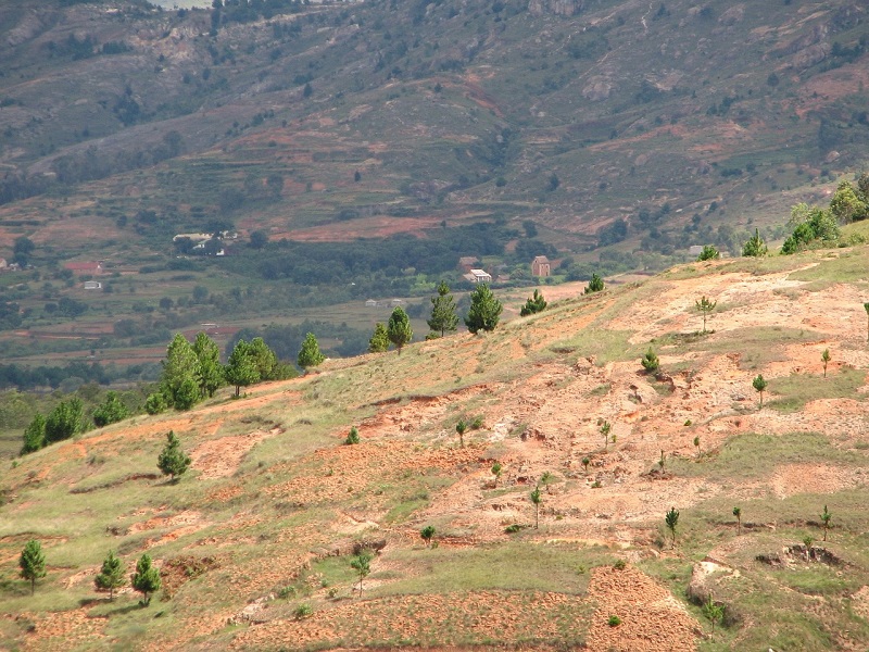 Photo of Madagascar's highgrounds